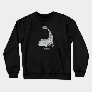 Y-Horned Treehopper Bug with Common and Scientific Names Crewneck Sweatshirt